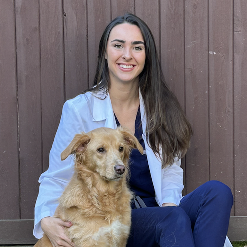 Dr. Madison McNeilly